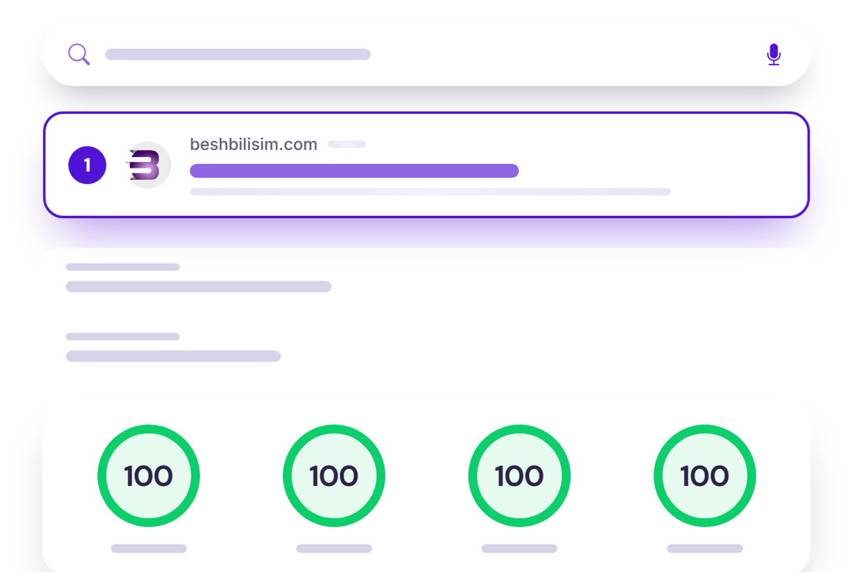 Arama sonucunda ilk sırada çıkan site ve 100 puanlık performans göstergeleri